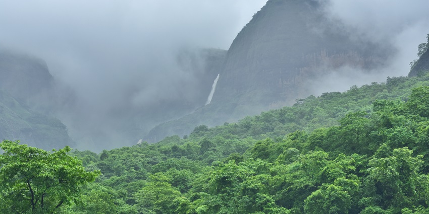 A lush green landscape in Maharashtra with dense greenery and mist-covered hills.