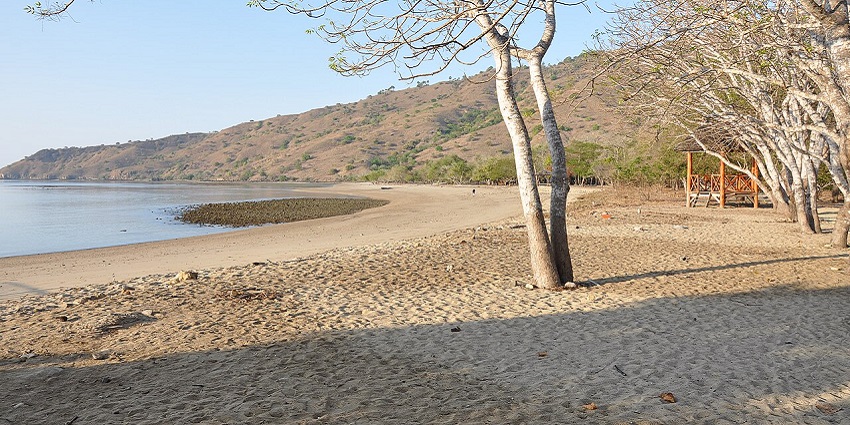 A beautiful view of the island that is the perfect destination for hiking and snorkelling.