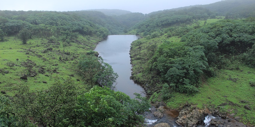 A lush green landscape in Maharashtra during the monsoon season, with mist-covered hills.