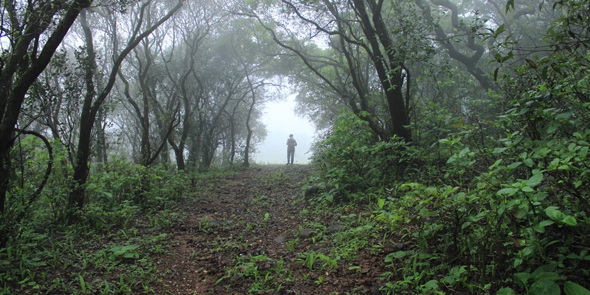A vibrant green landscape of Maharashtra under cloudy skies, with green trees around.