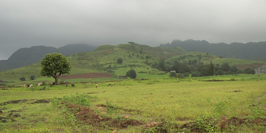 A scenic view depicting a busy monsoon scene in a Maharashtra village near Manmodi Caves.