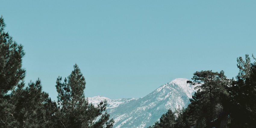 Dense forest with a majestic mountain backdrop under a clear blue sky.