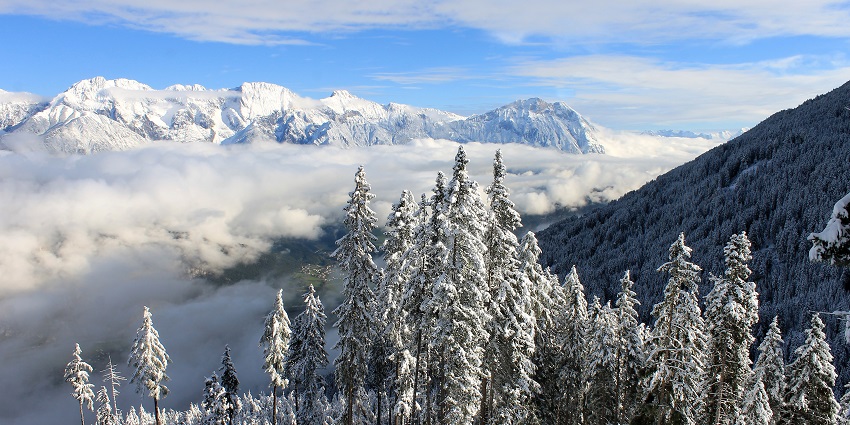 Beautiful snowy landscape in winter, showcasing a serene and peaceful environment