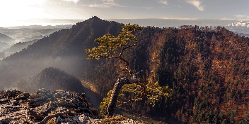 A panoramic view of majestic mountains against a clear sky, highlighting attractive vision.