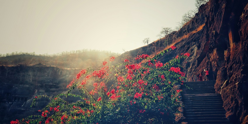 The majestic caves and a dense forest create a mysterious and serene natural landscape.