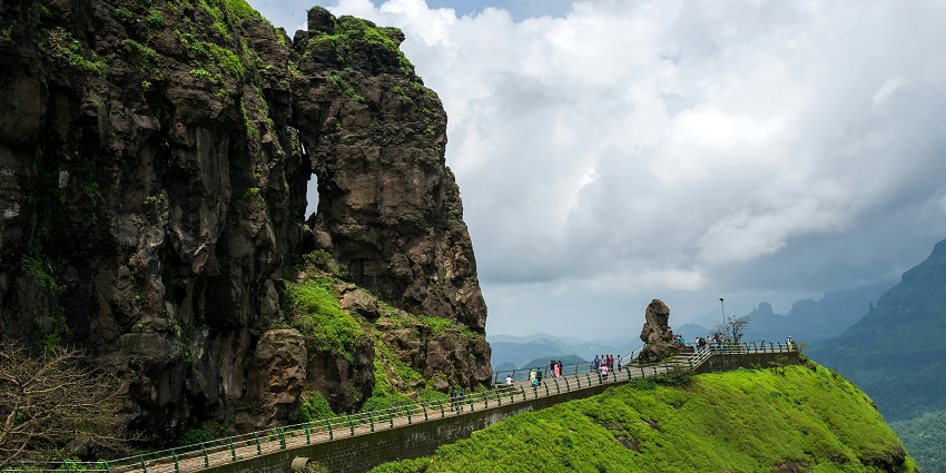 A lush green tree contrasts beautifully with the strong concrete wall of an ancient fort.