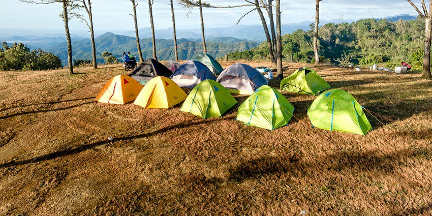 A breathtaking view of several colourful camps in a lush green forest during the daytime.