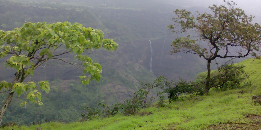 An image of a mountain showcasing a green landscape covered in mist during rain.