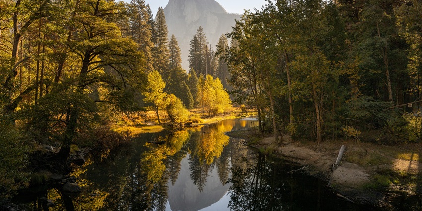 The scenic beauty of Bhondsi Nature Park during the winter season.