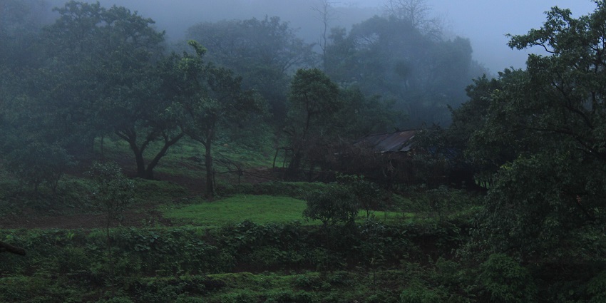 Majestic lush green-covered hills under a clear blue sky, showcasing a tropical wonderland.