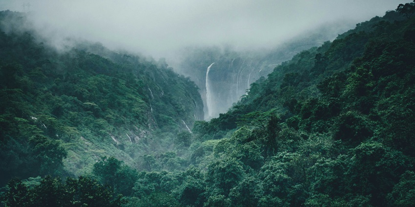 The best time to visit Maharashtra is from October to March when the weather is cool.