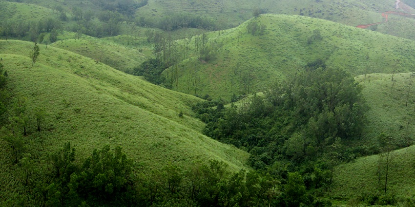 A panoramic view of the vast and lush landscapes of Vagamong, perfect for trekking.