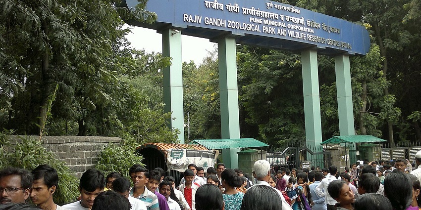 Busy entrance of Katraj Zoo filled with excited visitors, a day of wildlife adventure.