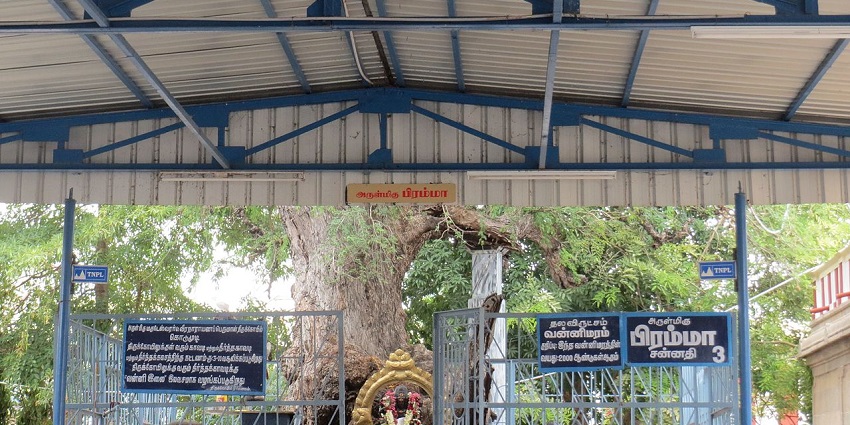 Inside the halls of Kodumudi Magudeswarar temple with the beautiful idol in the front