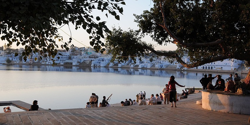 The ideal time for night safari in Pushkar is from October to March.