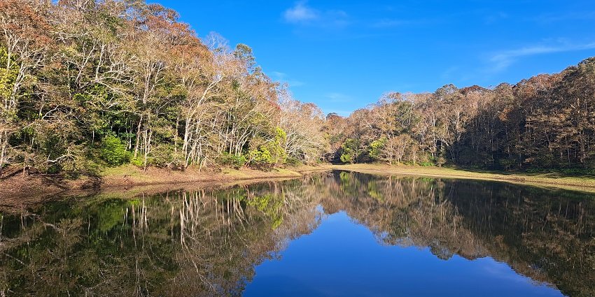 An image of the serene Periyar Lake, Tamil Nadu surrounded by the lush greenery.