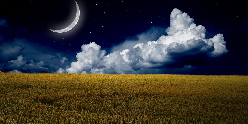 Creative Photoshop image featuring a month pole with vibrant colours and artistic design.