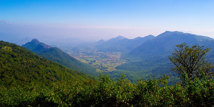 A scenic view of Yercaud Valley, Tamil Nadu, with high hills surrounded by lush greenery.