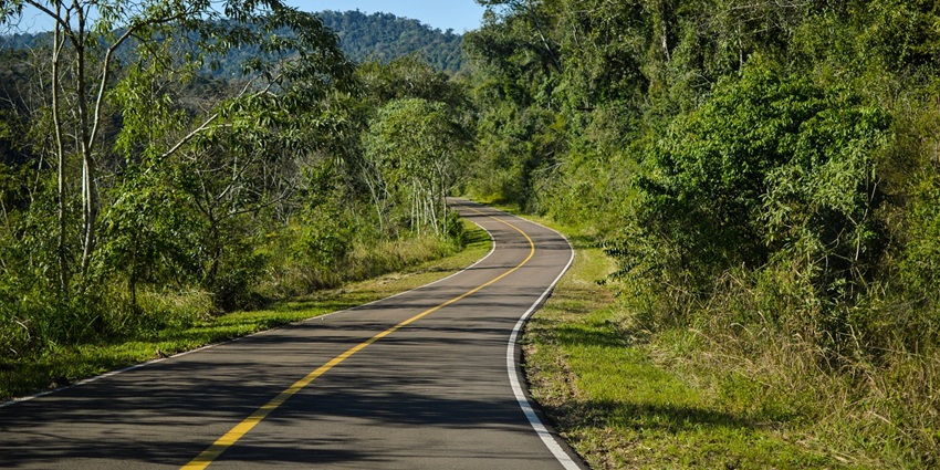 A tranquil road with lush green trees creates a serene atmosphere under a clear sky.