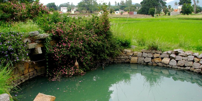 Best time to visit Yelagiri Trekking is during winter stretch of the year