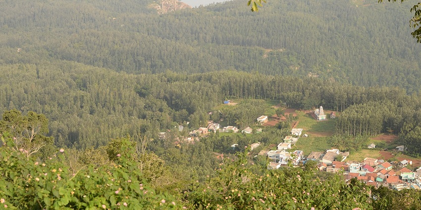 Scenic view of Yercaud showcasing lush greenery between October and June.