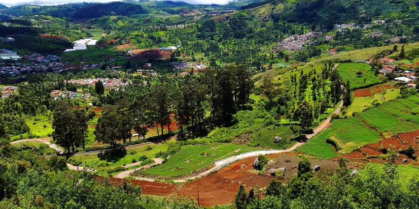The best time for paragliding in Ooty is between March and June