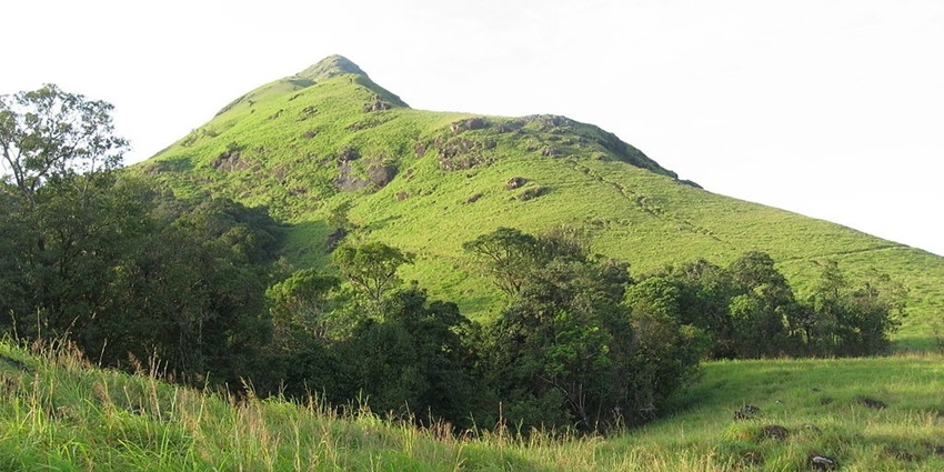 Scenic view of Sathuragiri Hills covered in bright winter sunlight and greenery.