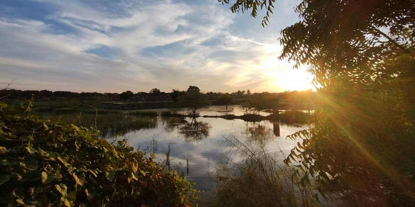 A marvellous view of a body of water surrounded by lush greenery during the daytime.