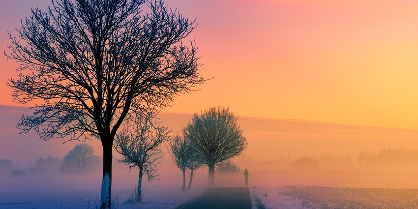 A view of a winter dawn scene with thick fog enveloping trees and landscapes in soft light