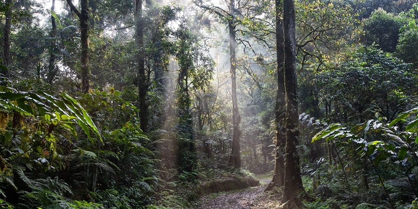 Seasonal national park changes indicate the best time to visit.