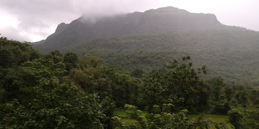 Majestic Sahyadri mountains near Sarasgad Fort in winter, covered in mist with serene scenic views