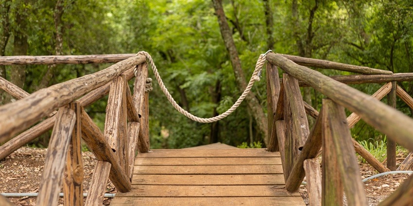 Attractive landscapes indicate the best time to visit Gugamal National Park for visitors.