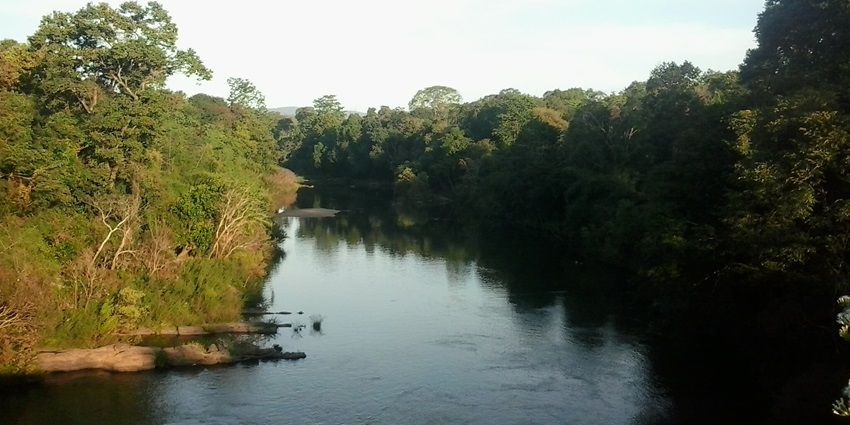 Bhadra River is one of the places to visit in Kalasa that offers boating, fishing, and picnicking.