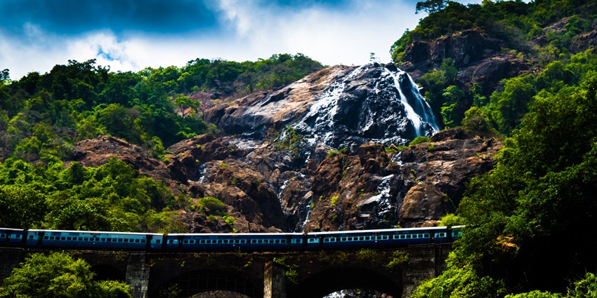 Explore outdoors and take in the different fauna at Bhagwan Mahavir Fauna Sanctuary.