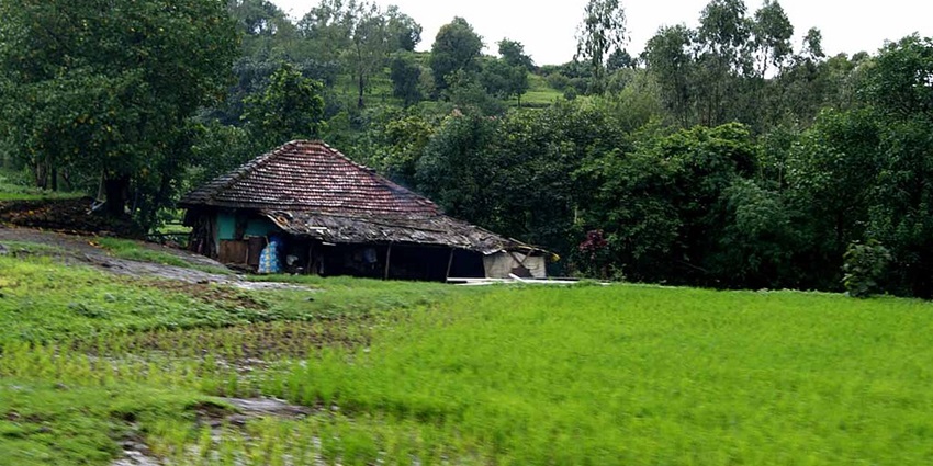 An image of the roads of Bhandardara, surrounded by greenery.