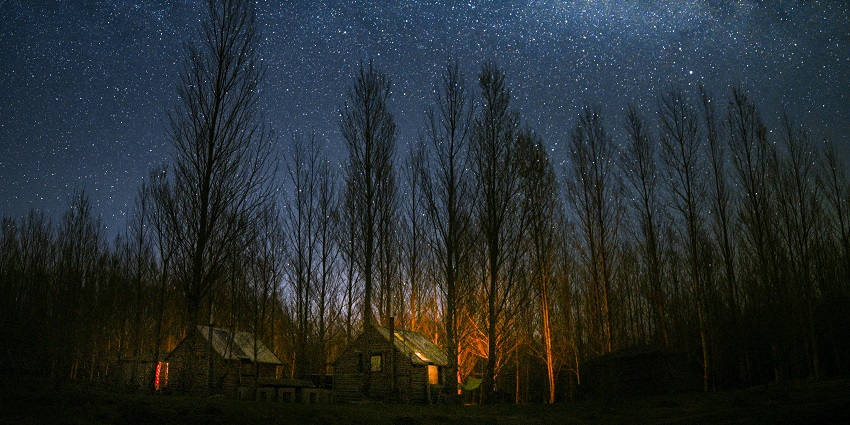 An image view of the Bhander Forest, creating a sense of intrigue and haunting stories.