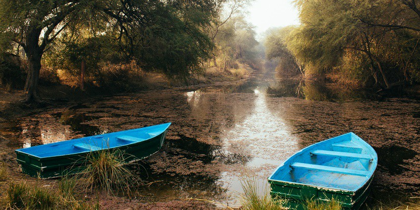 A beautiful scenery of misty and foggy sunrise at the Bharatpur Bird Sanctuary, Rajasthan.