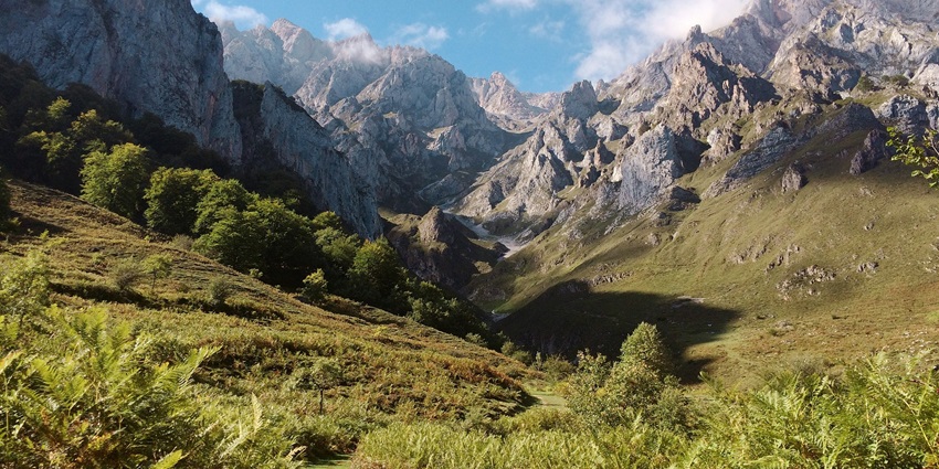 Serene Valley with picturesque river views and lush greenery offering a stunning view.