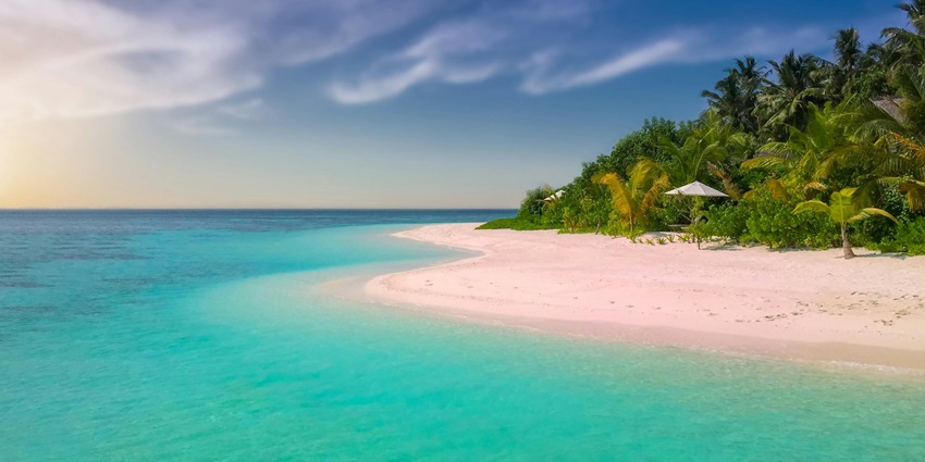 A view of a beach surrounded by lush greenery and pristine water during day time