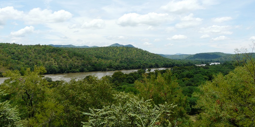A picture of a river flowing through a dense green forest in Karnataka
