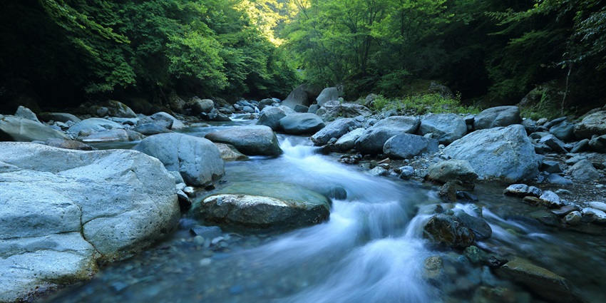 Image of river bank cascading through stones surrounded by dense forest - similar to the Thirthahalli