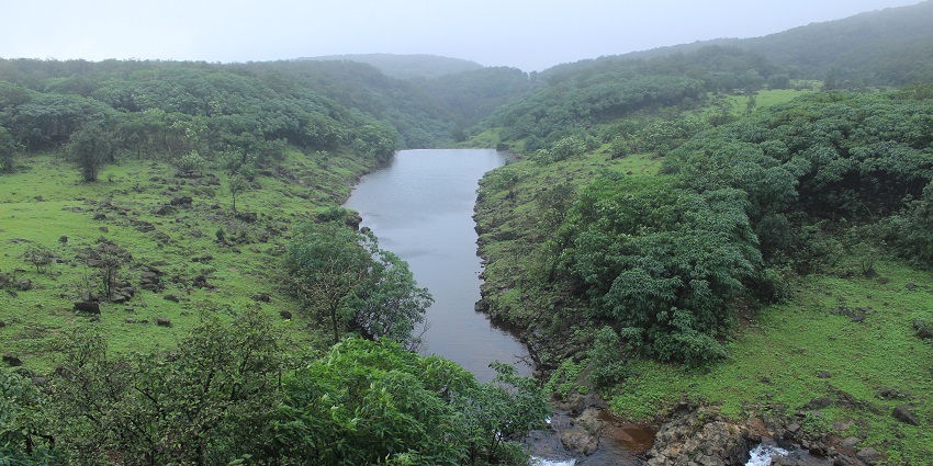 Aerial view of Bhimashankar river flowing through dense forest, perfect for exploration.