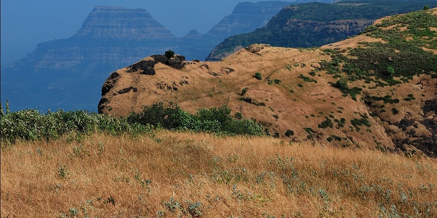 A picture of Bhimashankar’s forest trails, which is a great spot for trekking