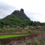 View of the green hills and valley at Bhimashankar, with dense forest and cloudy sky