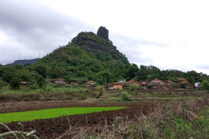 View of the green hills and valley at Bhimashankar, with dense forest and cloudy sky