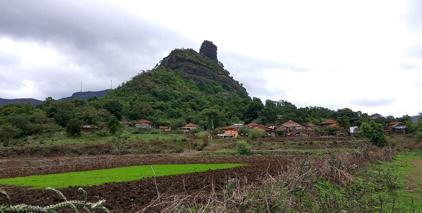 View of the green hills and valley at Bhimashankar, with dense forest and cloudy sky