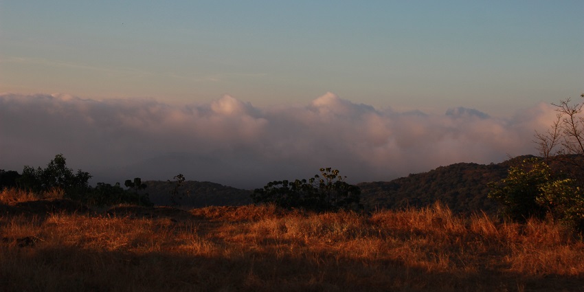 Bhimashankar Wildlife Sanctuary, a popular destination near Bhorgiri Fort with scenic views.
