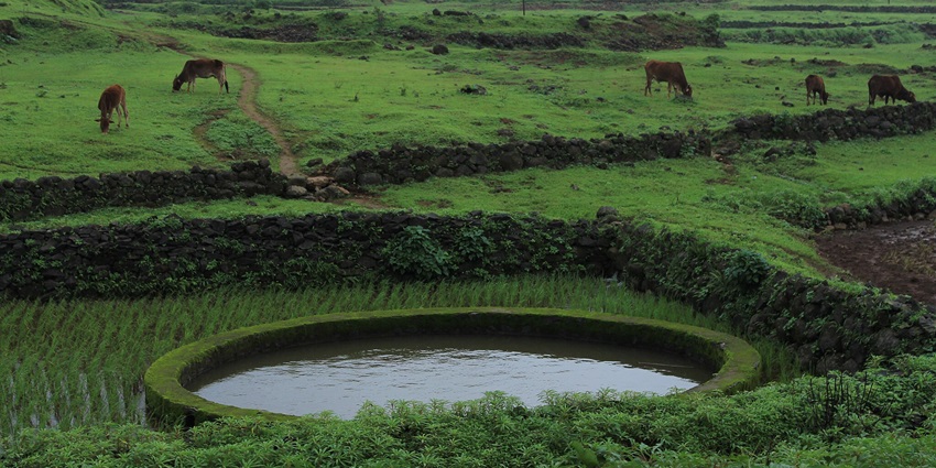 Bhimashankar Wildlife Sanctuary feature wildlife, scenic trails, and nature exploration.