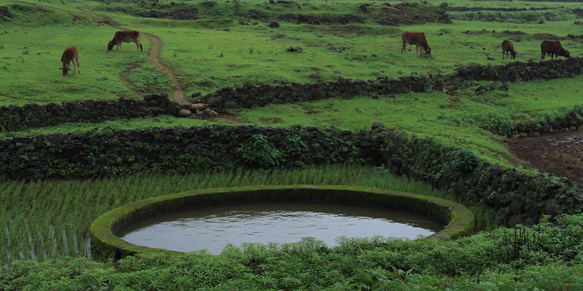 Lush refuge with a variety of wildlife and stunning natural scenery.