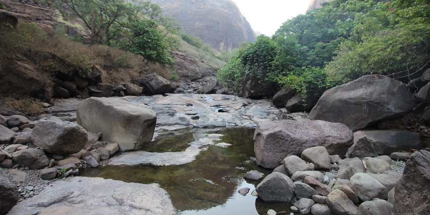 Close-up of Kundalika River surrounded by the forest of Plus Valley near Bhira Village.